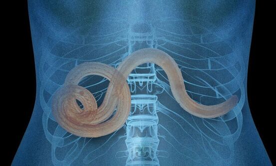 parazit în corpul uman